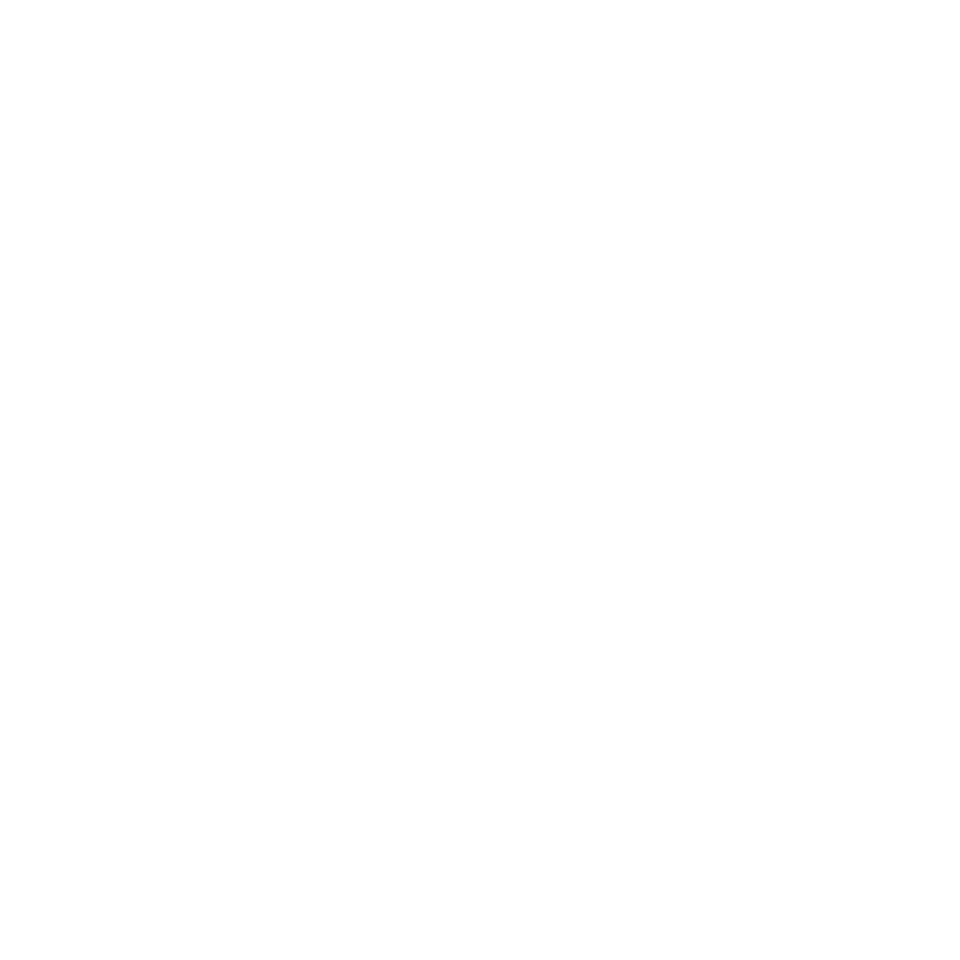 Paintball: 2000 Premium Paintballs